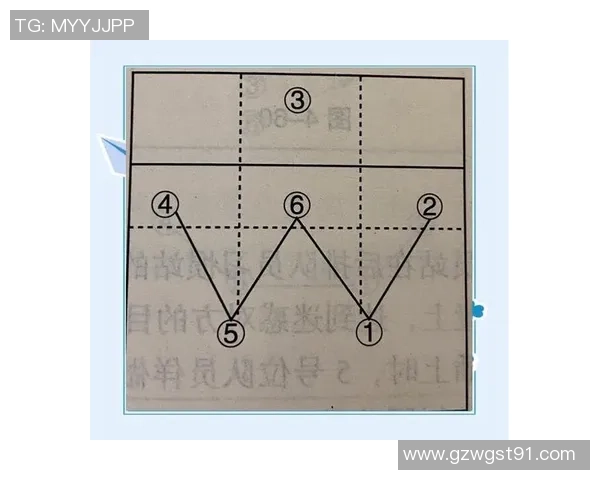广州排球队的战术演变与球员转换深度解析