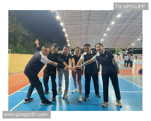 杭州排球队总决赛精彩回顾团队协作展现无遗 杭州排球队总决赛精彩回顾团队协作展现无遗