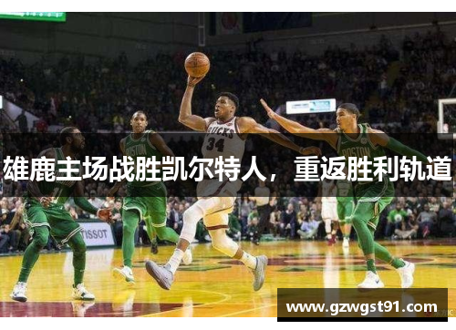 雄鹿主场战胜凯尔特人，重返胜利轨道