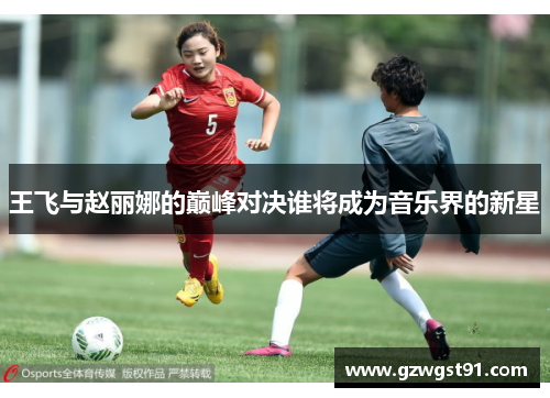 王飞与赵丽娜的巅峰对决谁将成为音乐界的新星